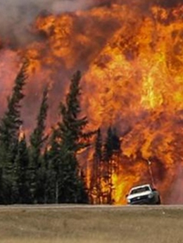 加拿大高溫干旱 森林大火蔓延